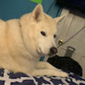 Meet your Posher, Joann